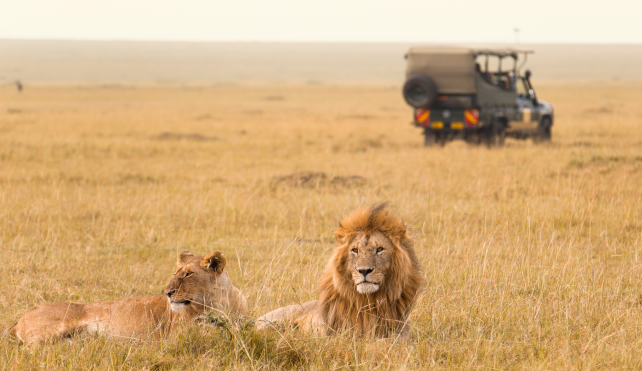 South African safari adventure